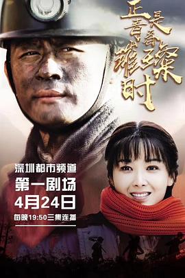 黄浦倾情 封面图